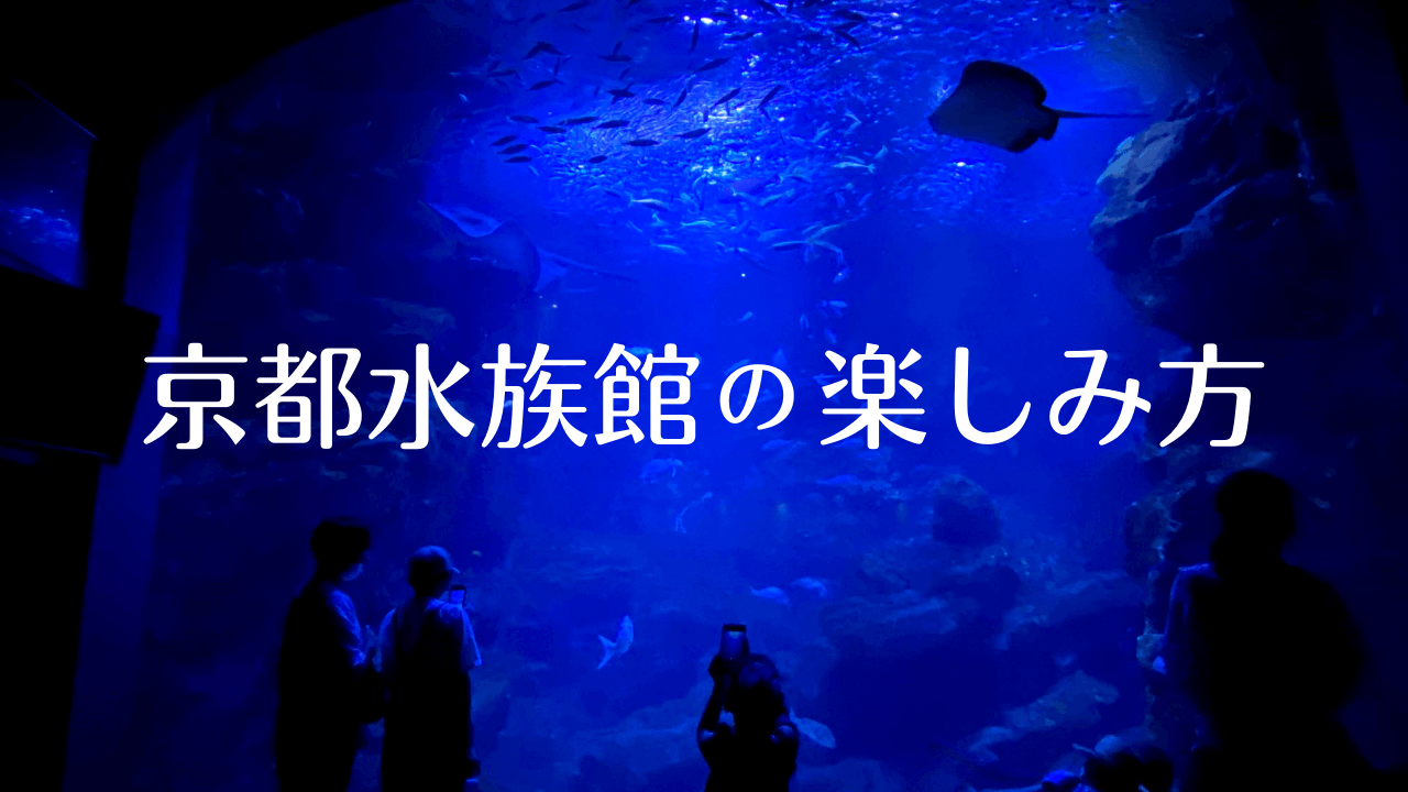 子連れ 京都水族館の楽しみ方 駐車場 飲食 ベビーカー情報など あんこの京都子育てブログ