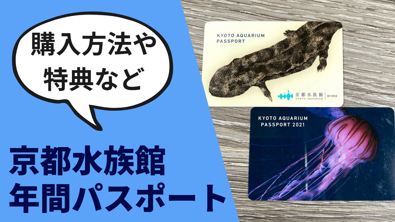 京都水族館 年間パスポートの購入方法と特典について 21年9月情報 あんこの京都子育てブログ