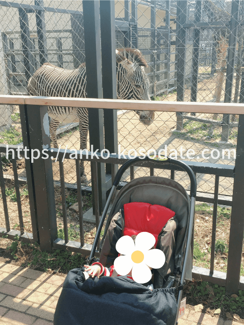 京都市動物園 クリアランス ベビーカー置き場